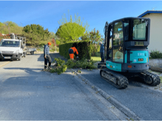 talle-de-haie-villeneuve-sur-lot